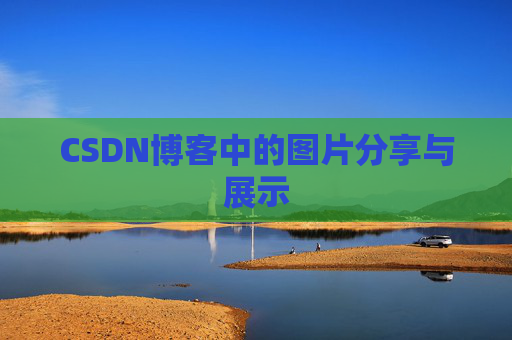 CSDN博客中的图片分享与展示